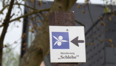 Schlehenweg Waldorf | © Frank Srol, Romantischer Rhein Tourismus GmbH