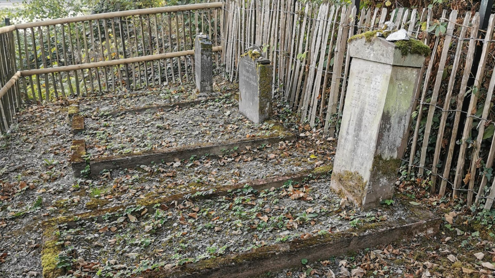 Judenfriedhof | © Sabine Pilger