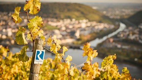 © Marco Rothbrust, Romantischer Rhein Tourismus GmbH