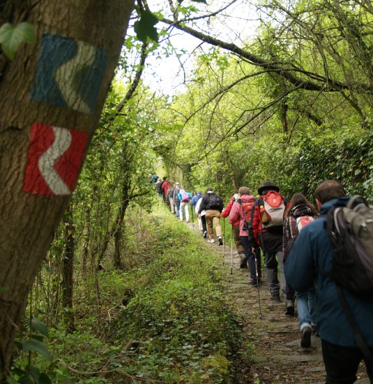 Wandergruppe auf der Loreley-Extratour | © Wolfgang Blum