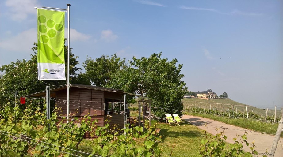 Weinprobierstand mit Blick aufs Schloss | © Weingut Abteihof St. Nicolaus