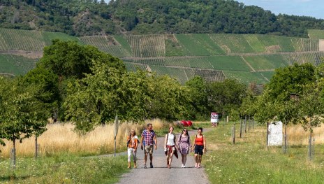 Wanderweg Kamp-Bornhofen - Filsen | © Katja S. Verhoeven, Verhoeven Kreativagentur