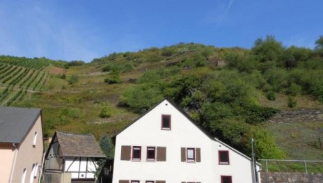 Blick auf die Weinberge vor dem Haus | © Carola Lanius