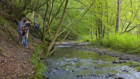 Wildromantisches Brexbachtal | © Traumpfade, Klaus-Peter Kappest, Romantischer Rhein Tourismus GmbH