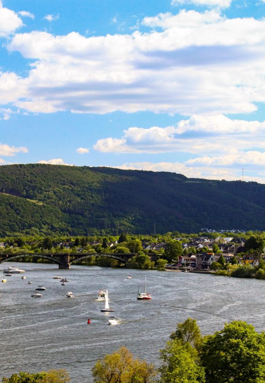 Ausblick vom Marienberg | © Weingut Schwaab