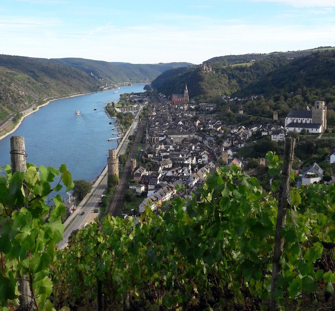 Blick auf Oberwesel | © TI Oberwesel