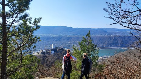 Blick auf Burg Sterrenberg und Burg Liebenstein | © Ulrike Dallmann, Loreley Touristik GmbH