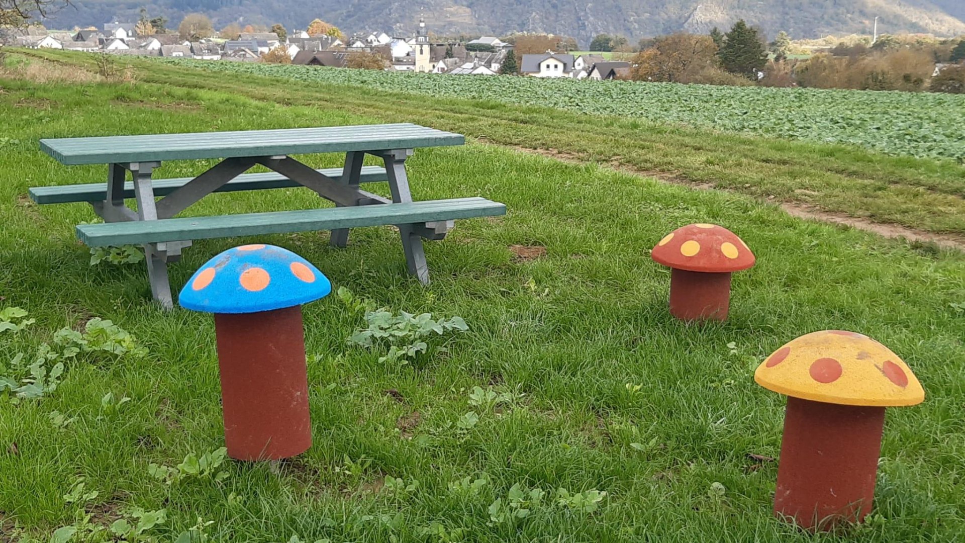 Picknickbank mit Taunusblick | © T. Biersch