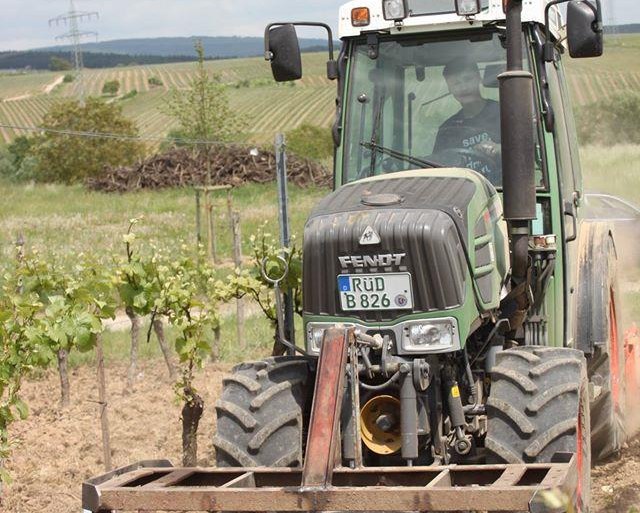 Außenbetrieb Einsaat | © Weingut Hans Bausch