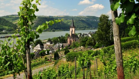 Blick auf Lorch | © Robert Carrera, WIESBADEN RHEINGAU