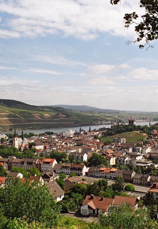 Stadt Bingen mit Blick auf den Rhein | © Winter