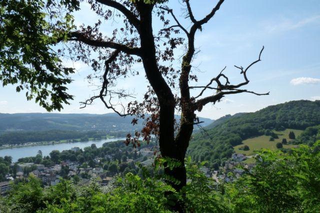 Keltische Höhensiedlung auf dem Hahn | © Tourist-Information Bad Breisig