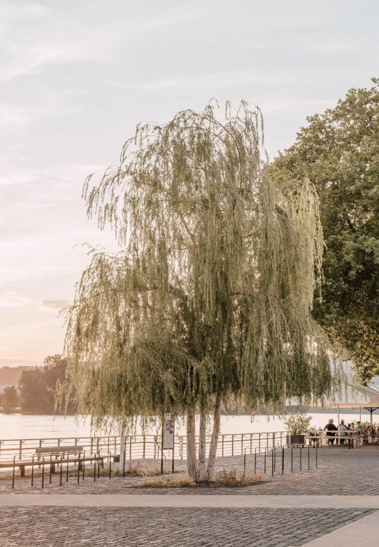 Deichvorgelände mit Blick auf den Biergarten | © Zimpfer_Photography