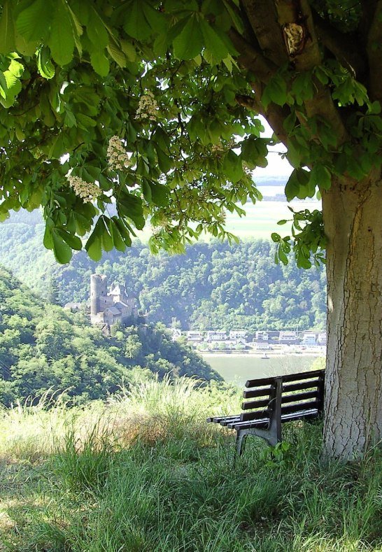 Burg Katz von oben | © Jens Niemeyer/Romantischer Rhein Tourismus GmbH