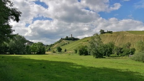 Ruine Scharfenstein und Weinberge | © Anja Wegschimmel, Romantischer Rhein Tourismus GmbH