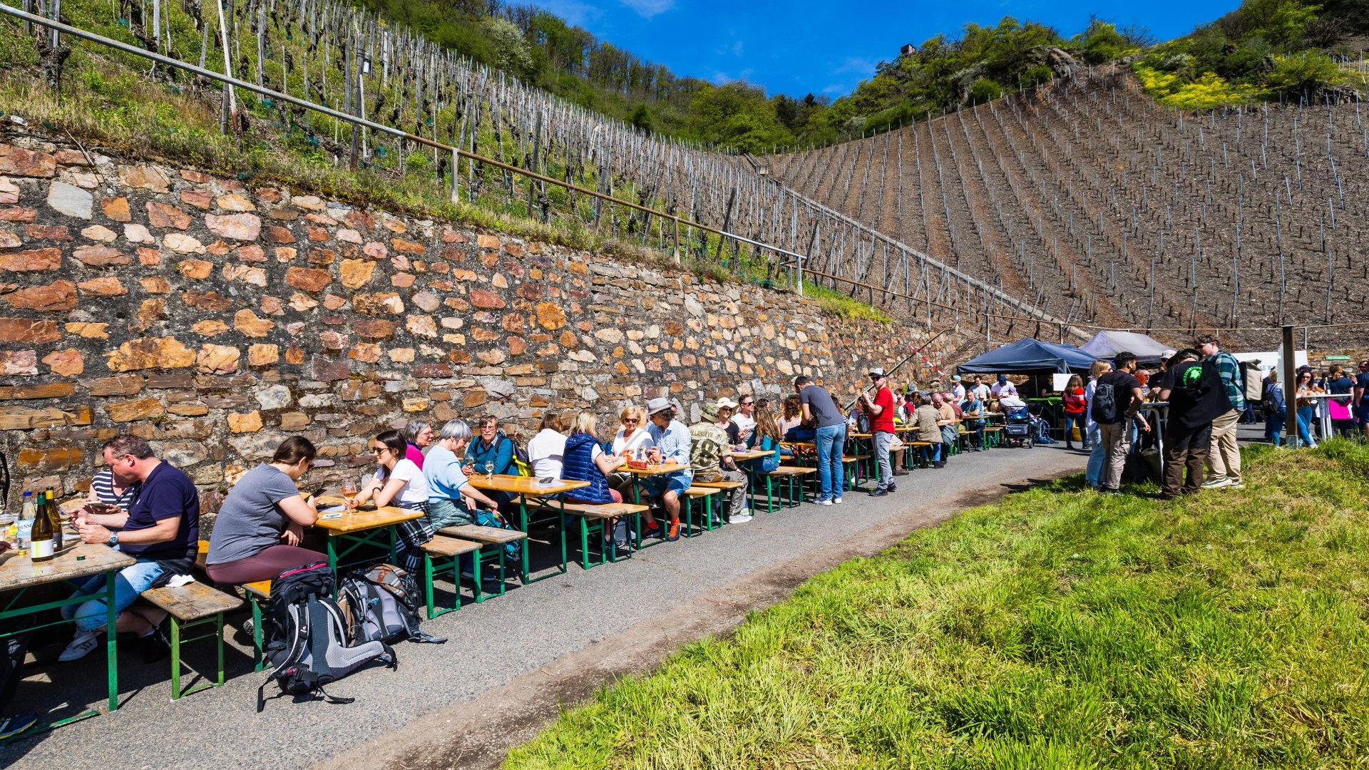 Mittelrheinischer Weinfrühling 1 | © Kai Myller