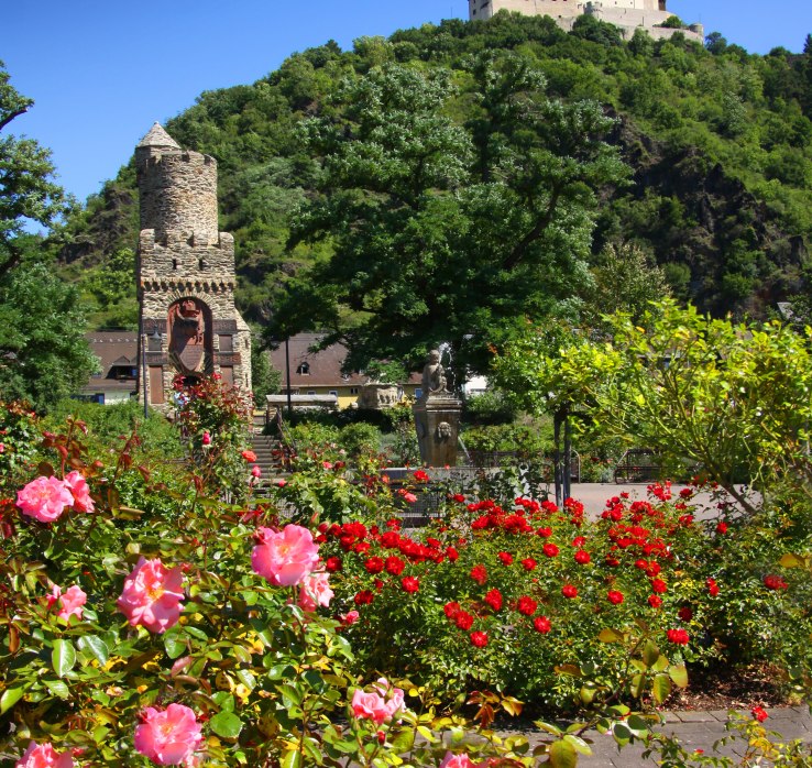 Rose garden Braubach | © Foto Derdzinski / Stadt Braubach