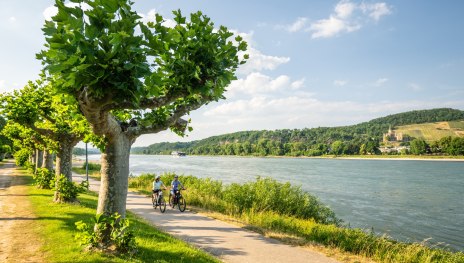 Rheinradweg bei Bad Breisig | © Dominik Ketz, Romantischer Rhein Tourismus GmbH