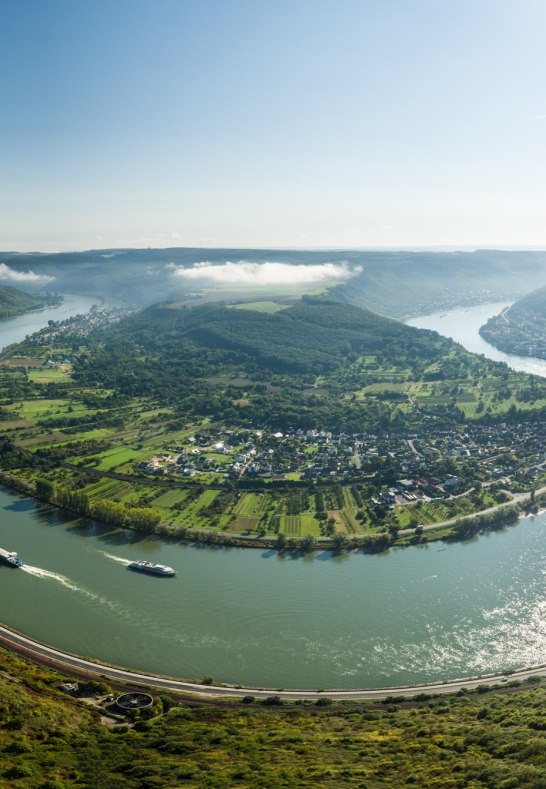 Die große Rheinschleife vom gedeonseck betrachtet. | © Dominik Ketz