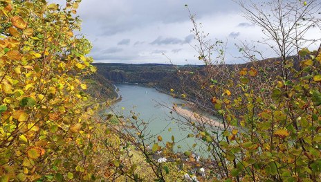 Weinbergsblick | © Thomas Biersch