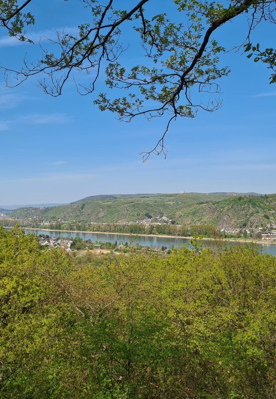 Ausblick | © Tourist-Information Erlebnis Rheinbogen