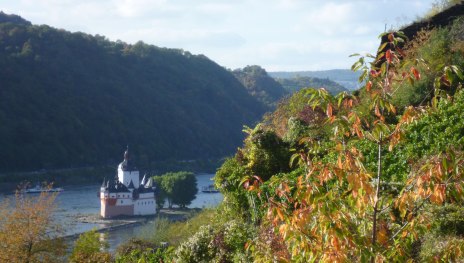 © Jens Niemeyer, Romantischer Rhein Tourismus GmbH