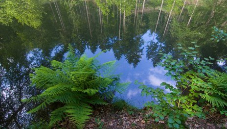 © Klaus-Peter Kappest, Traumpfade im Rhein-Mosel-Eifel-Land