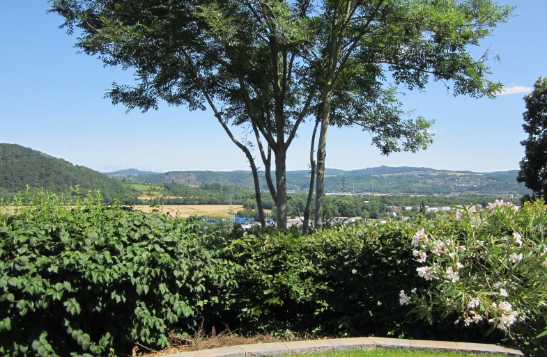 Blick vom Garten ins Rheintal | © Eigentümer