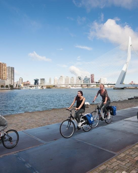 Rheinradweg bei Rotterdam, Niederlande | © European Cyclists’ Federation, Demarrage LTMA
