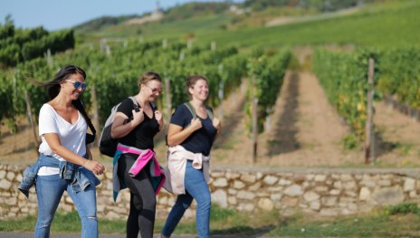 Wandern in Rüdesheim | © DeinWein, Rüdesheim Tourist AG