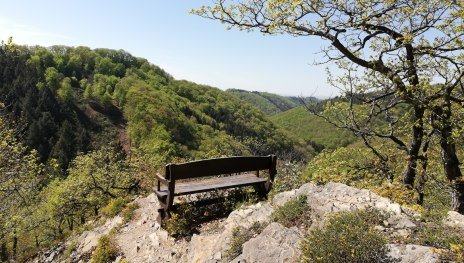 Traumschleife Hasenkammer | © Tourist Information Boppard, Romantischer Rhein Tourismus GmbH