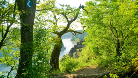 Blick auf den Spitznack und die Loreley im Frühjahr | © Dominik Ketz, Romantischer Rhein Tourismus GmbH