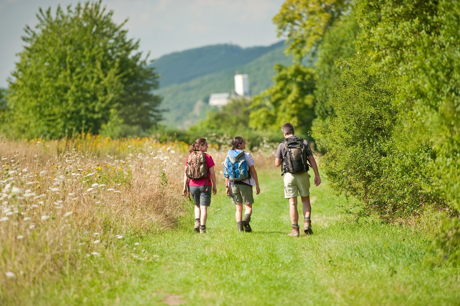 Ziehlay bei Boppard-Weiler | © Dominik Ketz