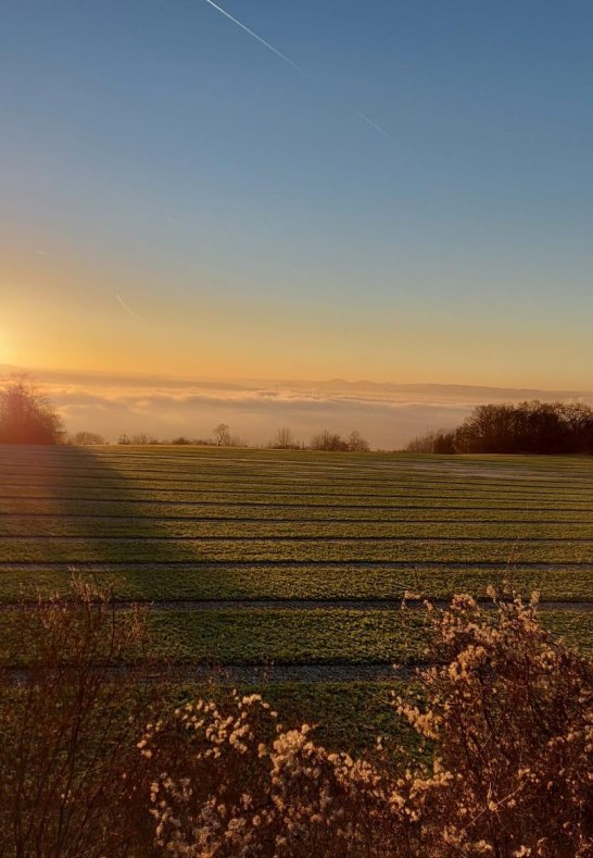 Sonnenuntergang auf der Loh | © Ursula Reif