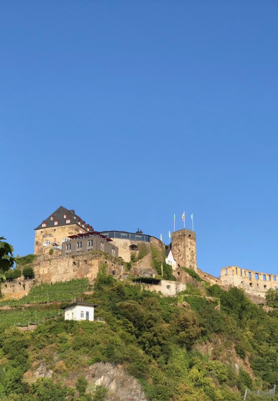 Burg Rheinfels | © rheingucken.de