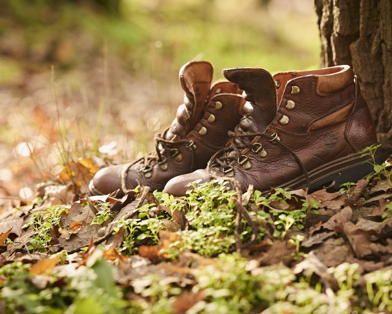 Wanderschuhe | © Marco Rothbrust CC BY 4.0