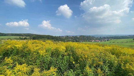 Rheinhöhe Oberwinter und Siebengebirge | © Tourist-Information Remagen, Romantischer Rhein Tourismus GmbH