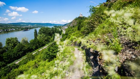 Blick in Richtung Braubach mit Marksburg | © Henry Tornow, Romantischer Rhein Tourismus GmbH