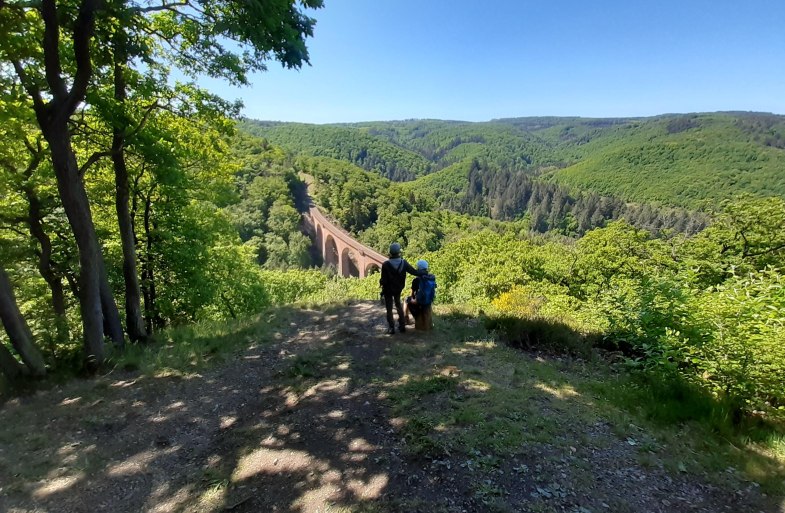 Aussicht Viadukt | © Tourist Information Boppard