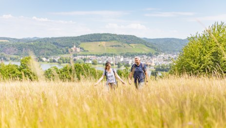 Fichtelwiese | © Anton Röser/Tourist-Information Bad Breisig