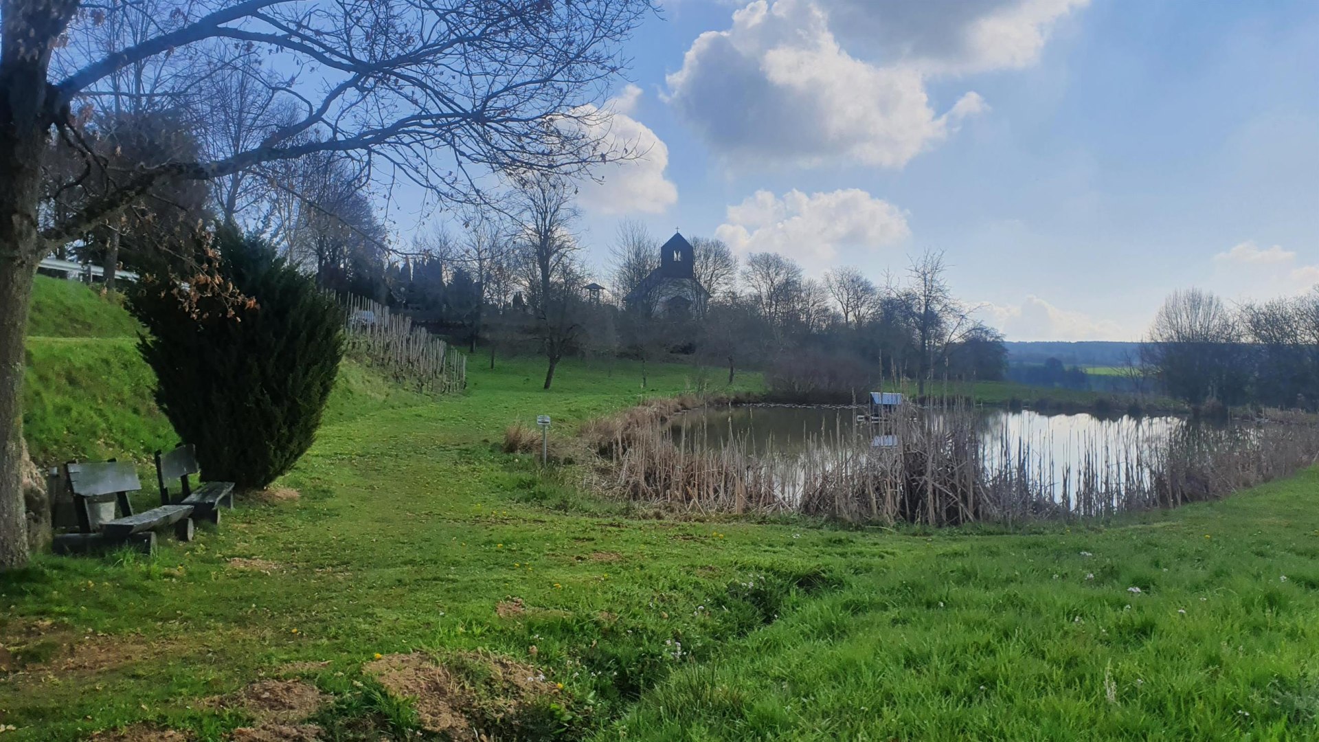 Teich am Simmerbach | © T. Biersch