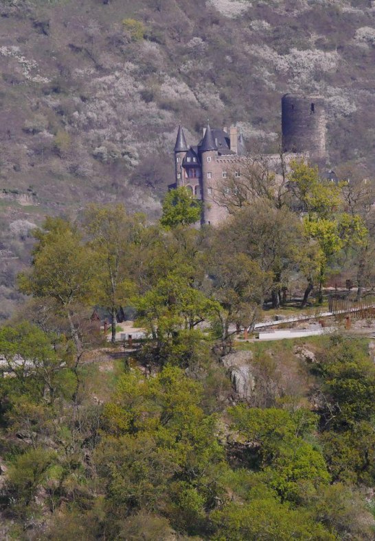 Loreleyplateau mit Burg Katz | © Bernhard Vogt