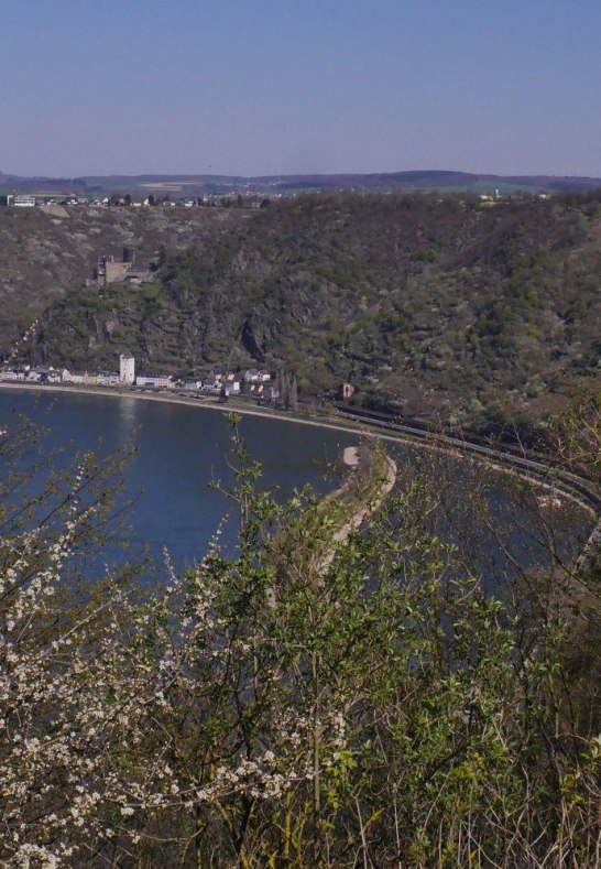 Rheinblick | © Bernhard Vogt