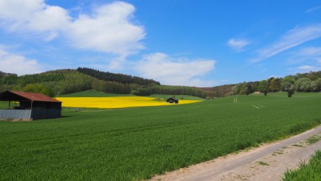 Rundwanderwege Andernach-Eich Variante gelb | © Tourist-Information Andernach, Unbekannt