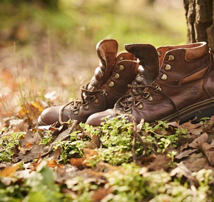 Hiking shoes | © Marco Rothbrust CC BY 4.0