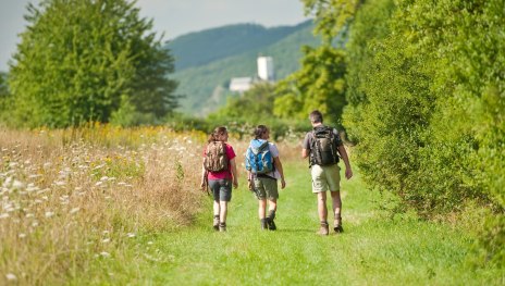 RheinBurgenWeg gesamt (Süd-Nord) | © Dominik Ketz, Romantischer Rhein Tourismus GmbH