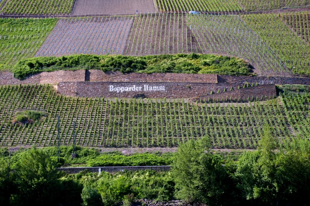 Weinberg mit Schriftzug | © Petra Winkler