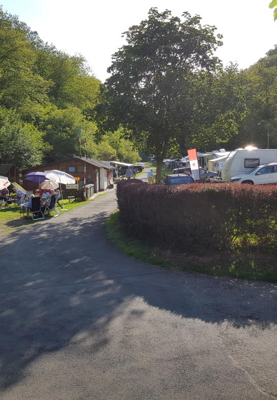 Camping Friedenau StraßeHecke | © Camping Friedenau