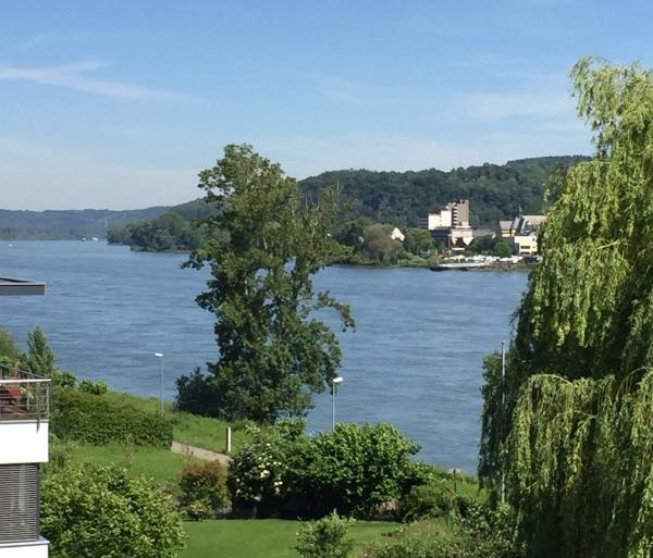 Traumhafter Blick auf den Rhein | © Penthouse-Ferienwohnung Bellevue direkt am Rhein