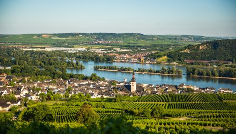 Blick auf Rüdesheim | © Henry Tornow